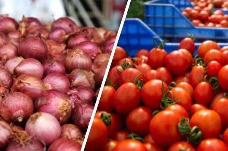 بعد فيض الطلبات .. دعم الطماطم والبصل يتوقف والوزارة تكشف الأسباب