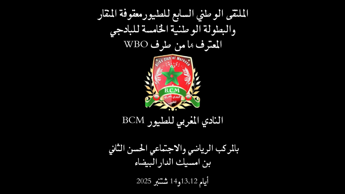 الدارالبيضاء تحتضن الملتقى الوطني السابع للطيورمعقوفة المنقار والبطولة الوطنية الخامسة للبادجي